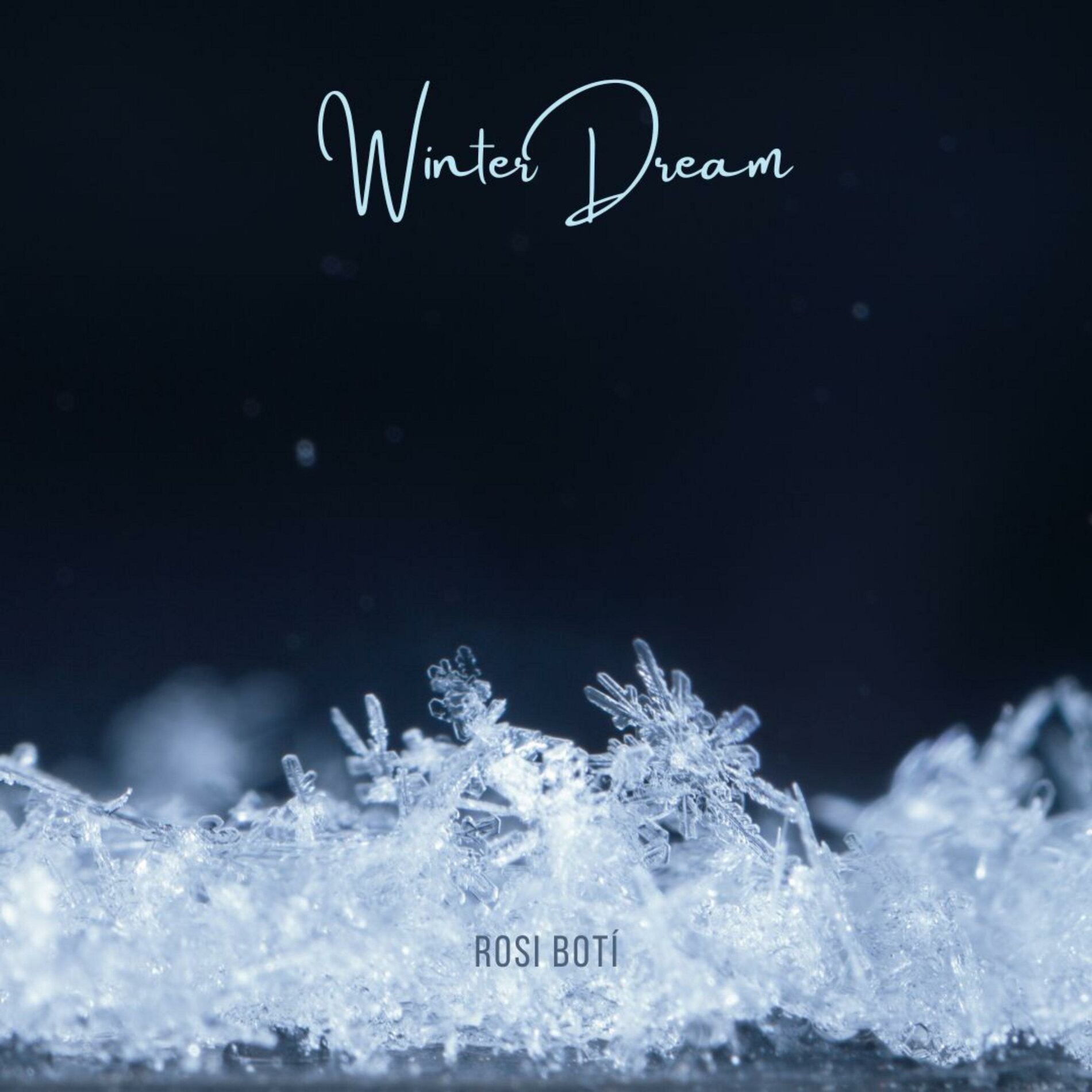 Album cover of Winter Dream