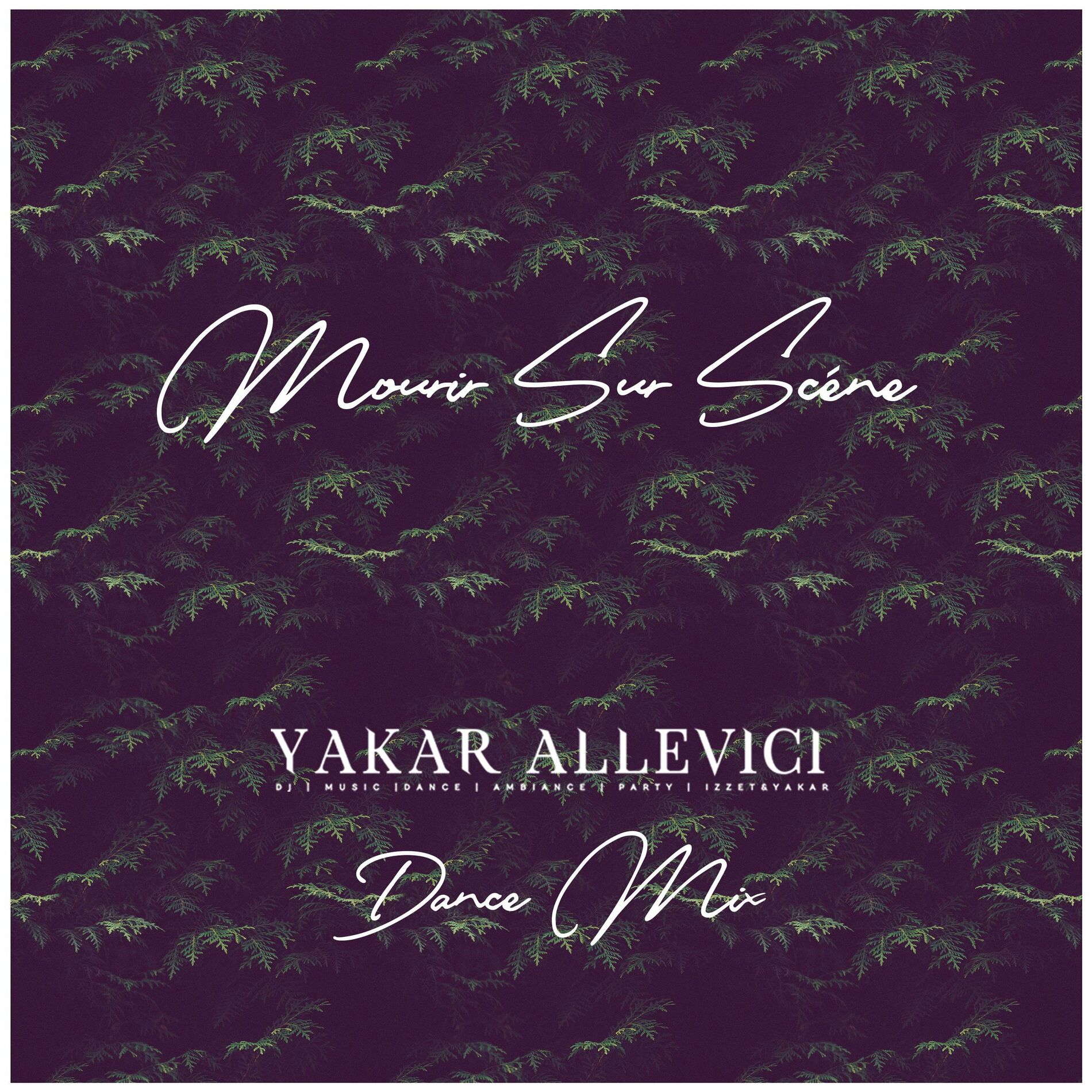 Album cover of Mourir Sur Scène (Dance Mix)