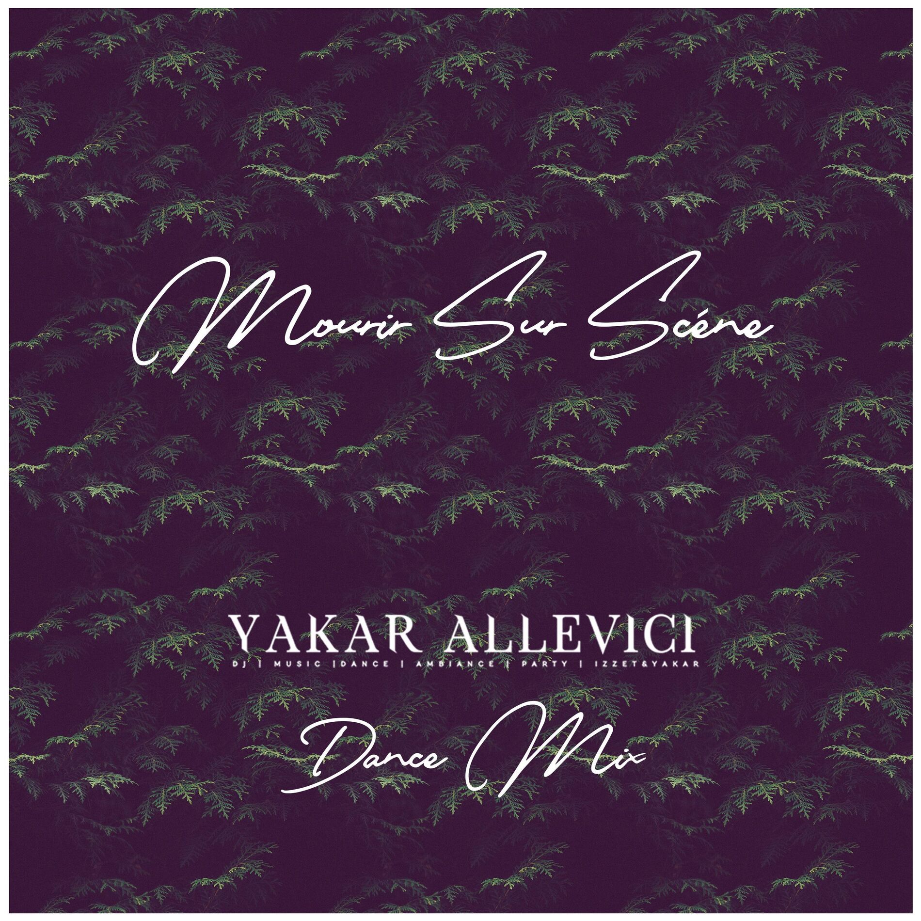 Album cover of Mourir Sur Scène