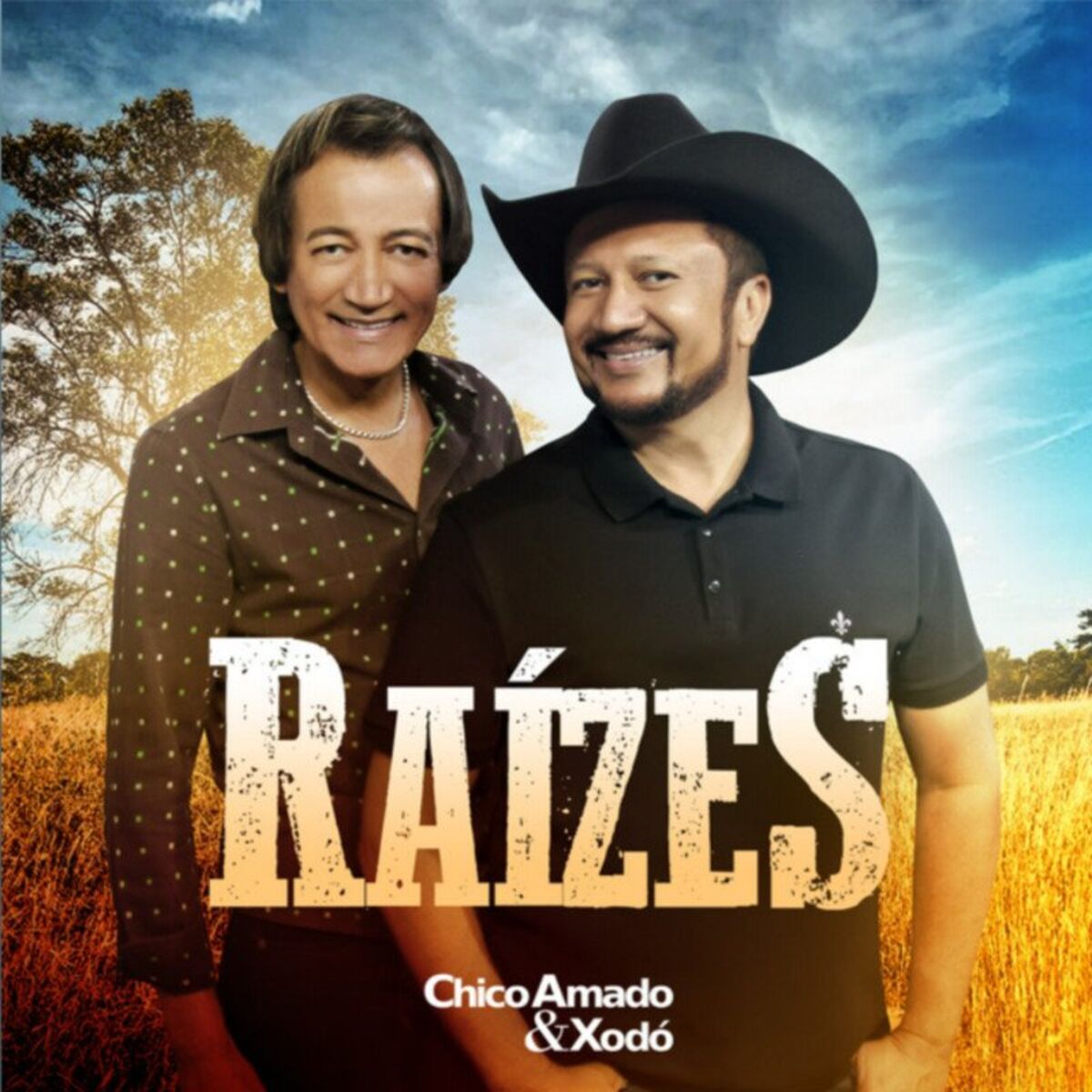Album cover of Raízes