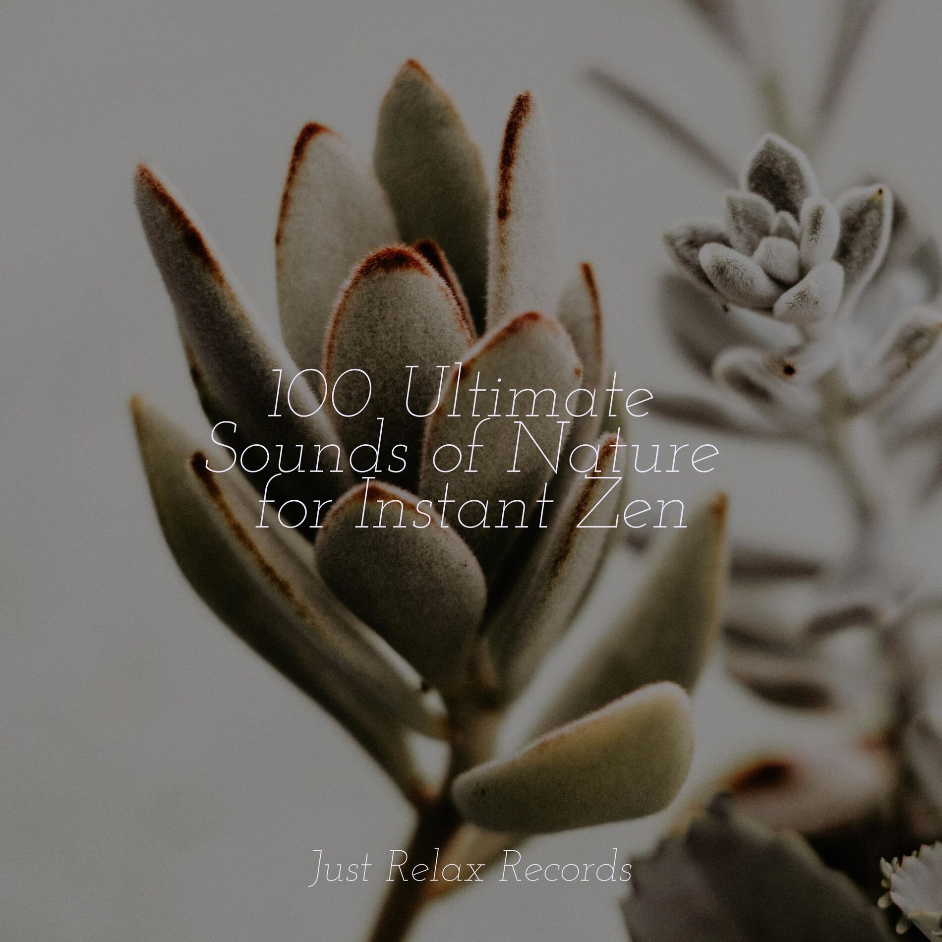 Album cover of 100 Ultimate Sounds of Nature for Instant Zen