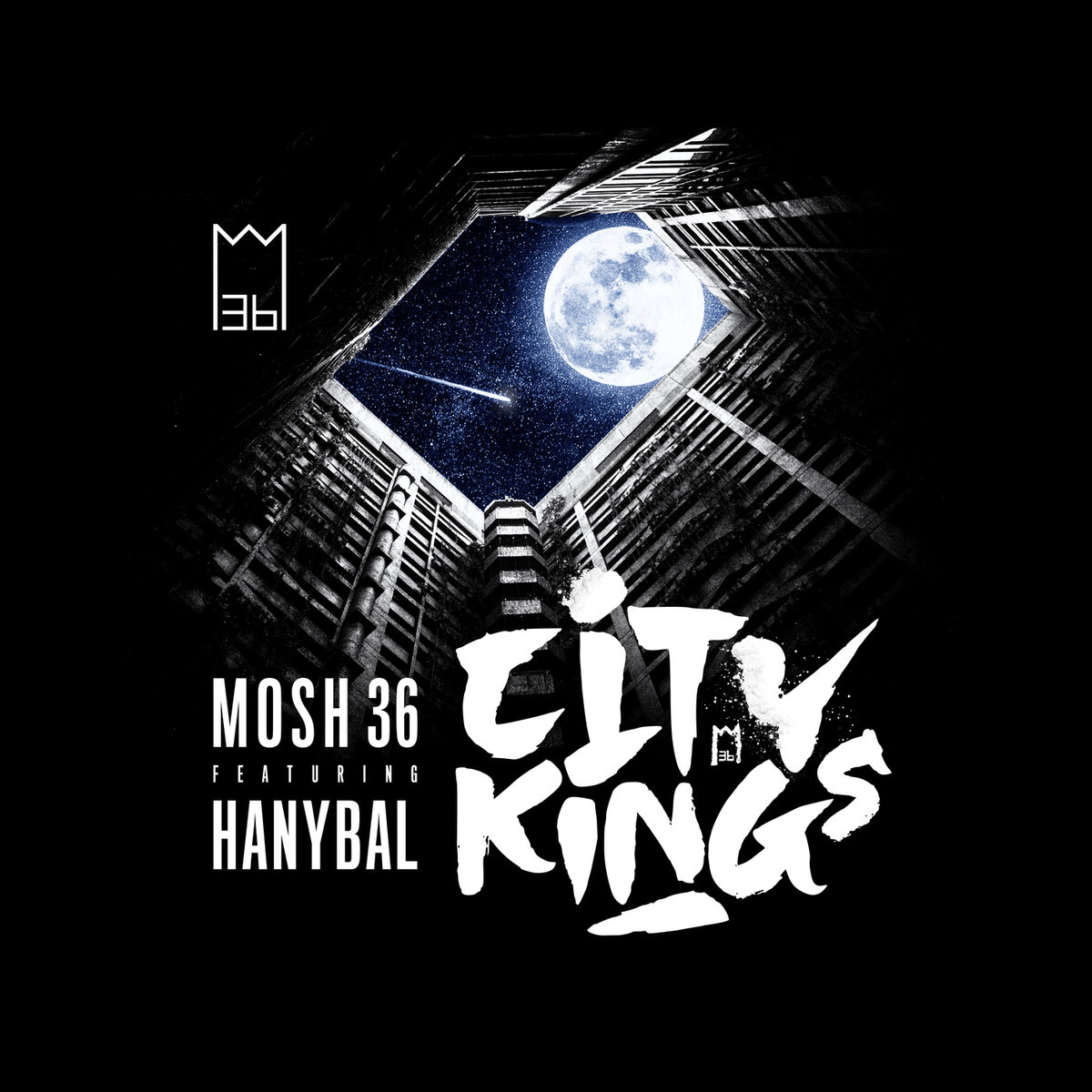 Album cover of Citykings