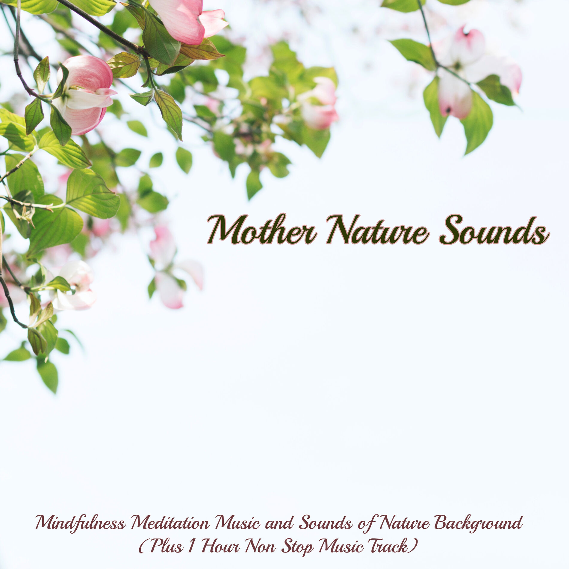 Album cover of Ambient - New Age Song
