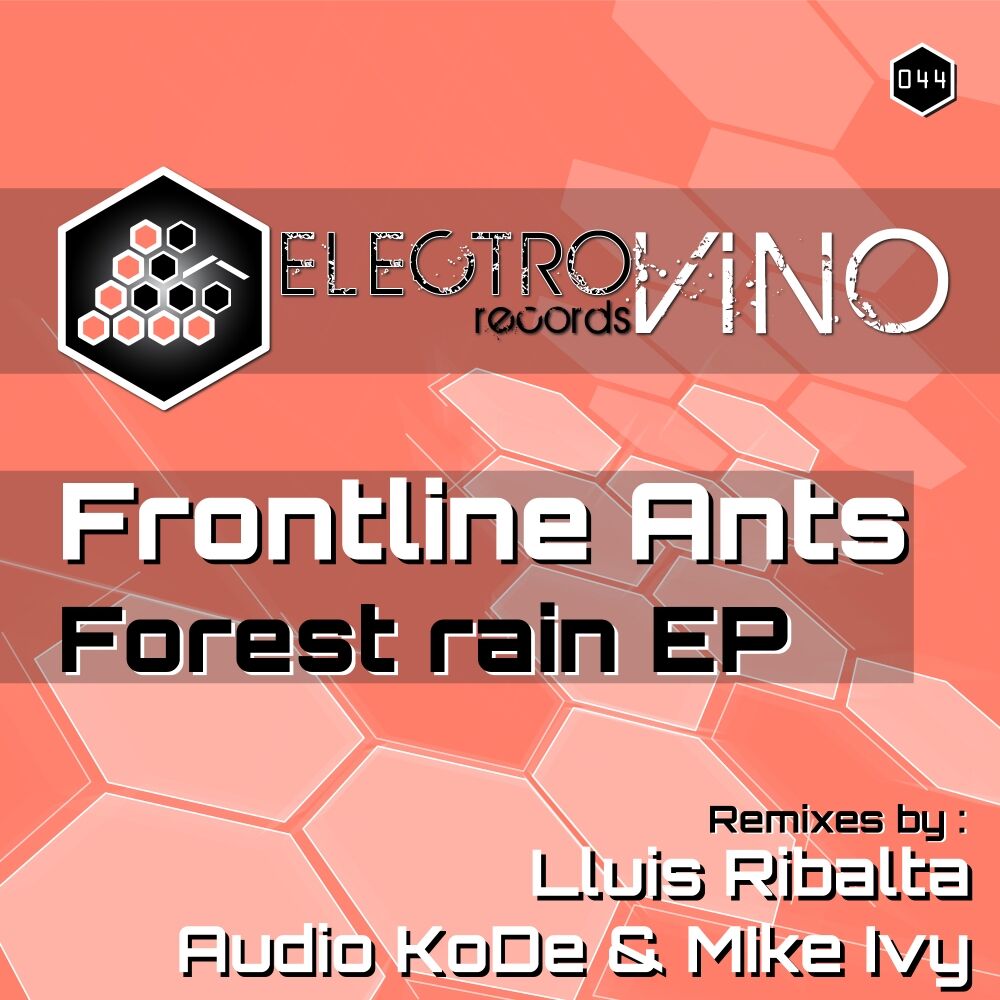 Picture of Forest rain