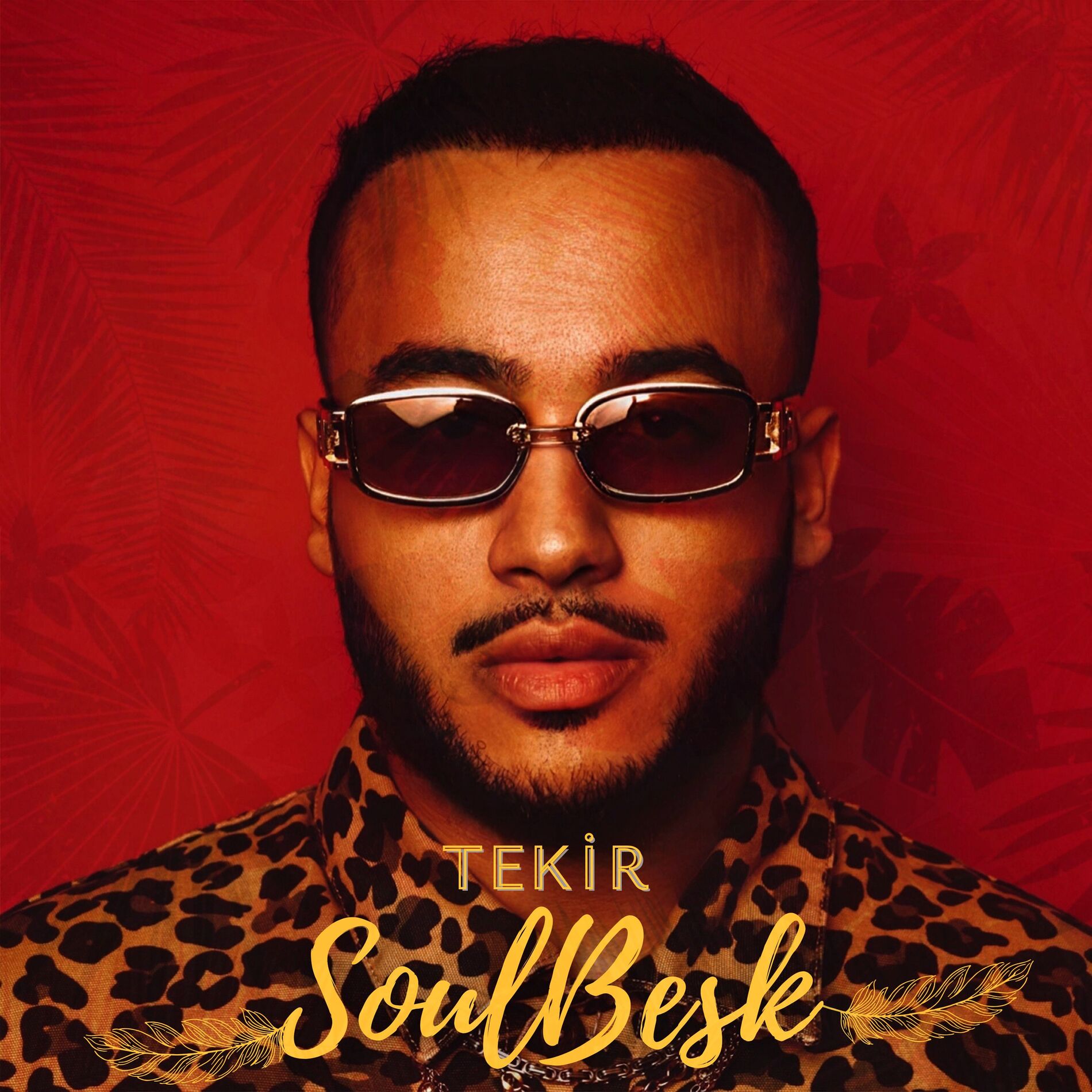 Album cover of SoulBesk