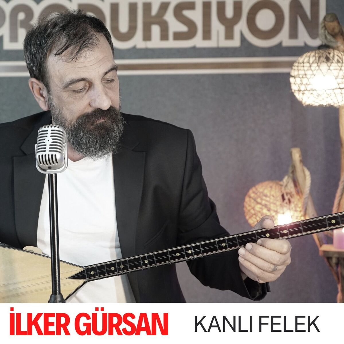 Album cover of Kanlı Felek