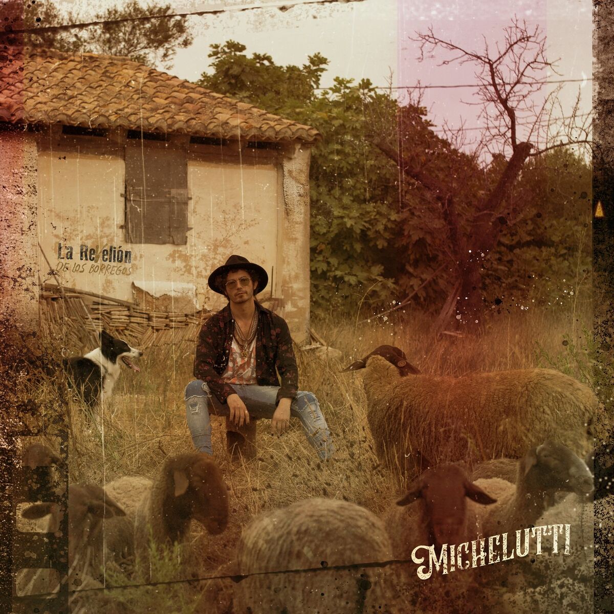 Album cover of La ReVelión de los Borregos