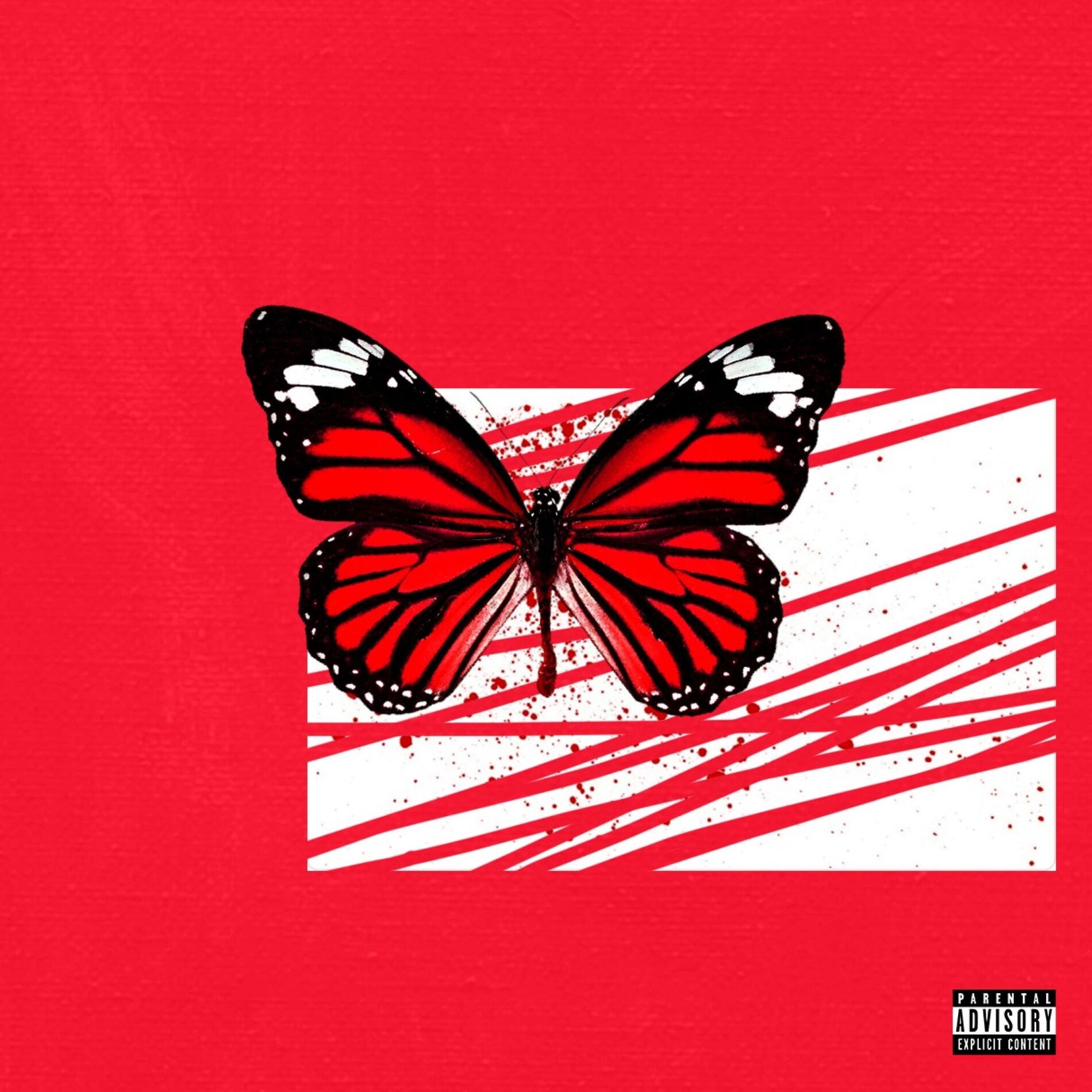 Album cover of Diamonds in my eyes