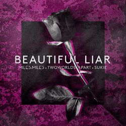 Cover of Beautiful Liar