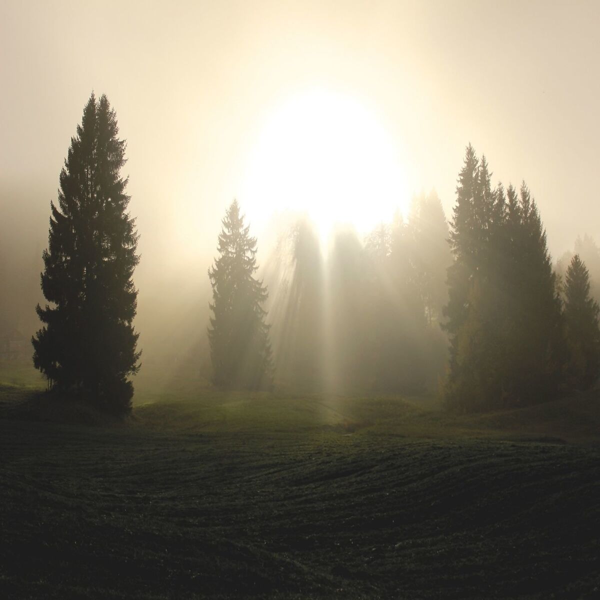 Album cover of Nova Canção