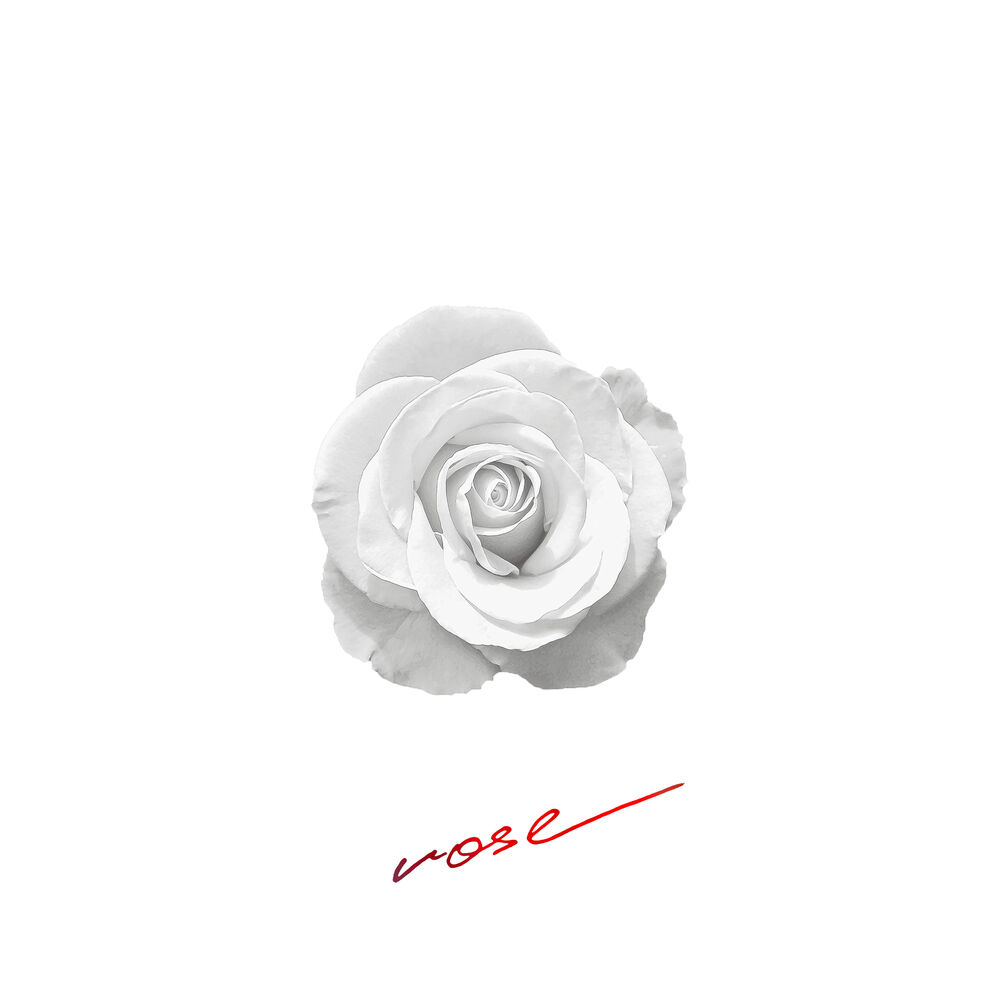 Picture of Rose