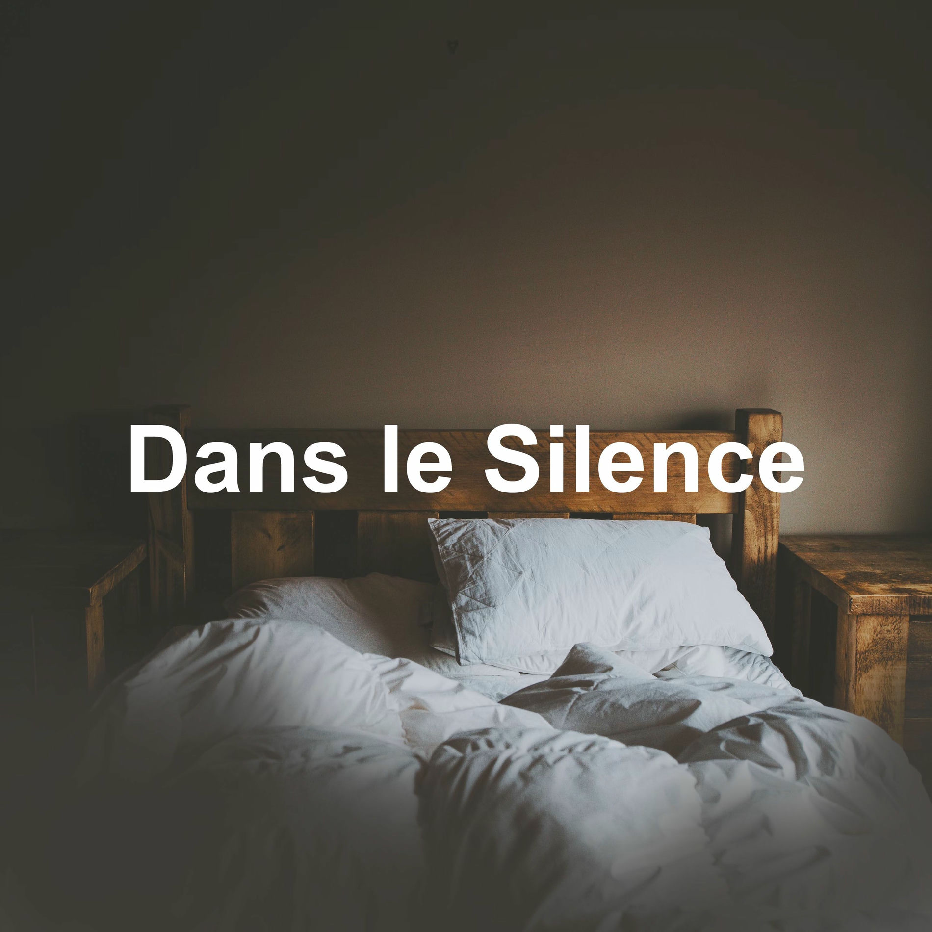 Album cover of Dans le Silence