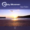 Sea Tides (Energetic Radio Edit) by Andy Blueman album cover