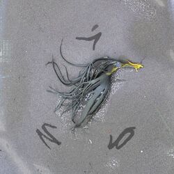 Cover of Protective Core