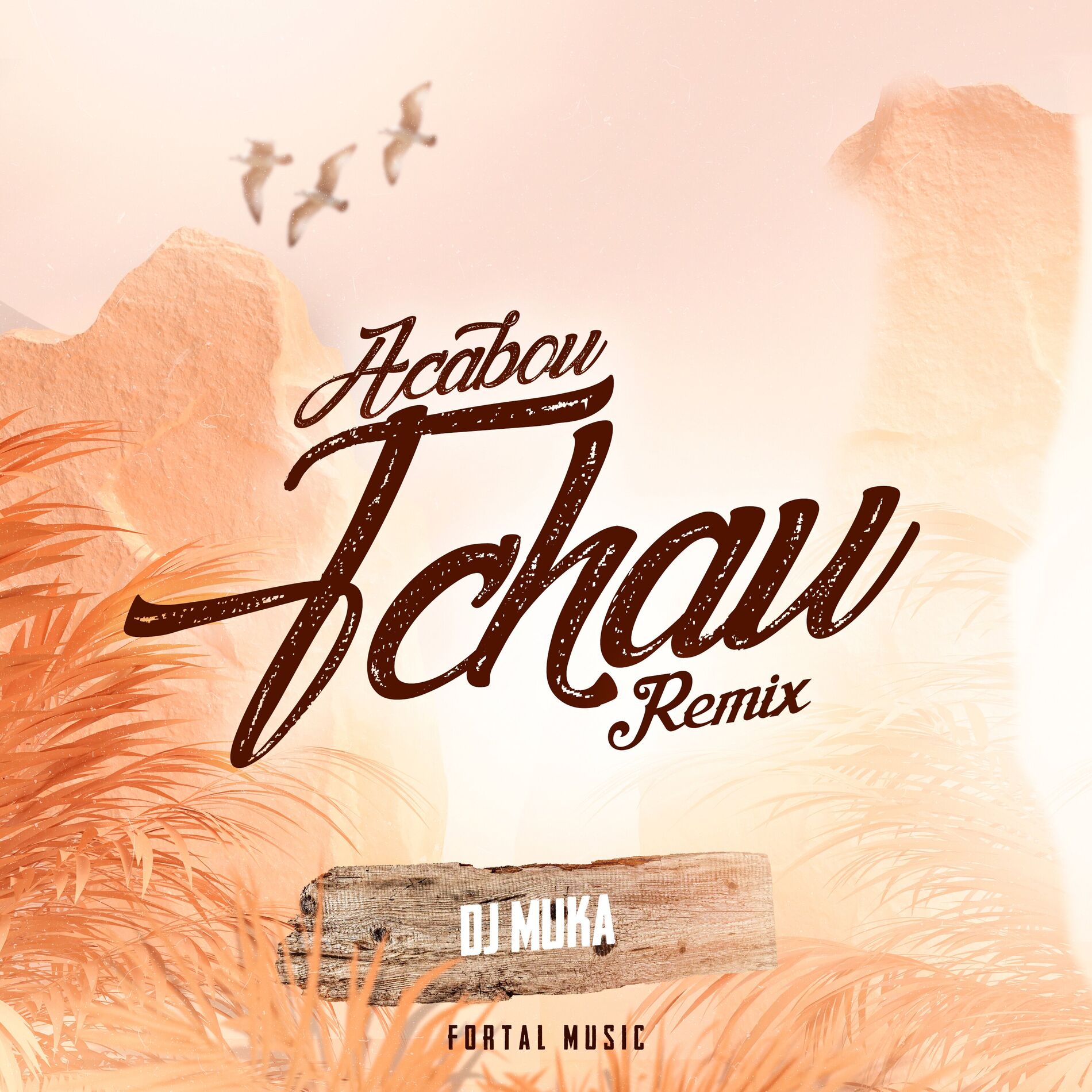 Album cover of Acabou Tchau (Remix)