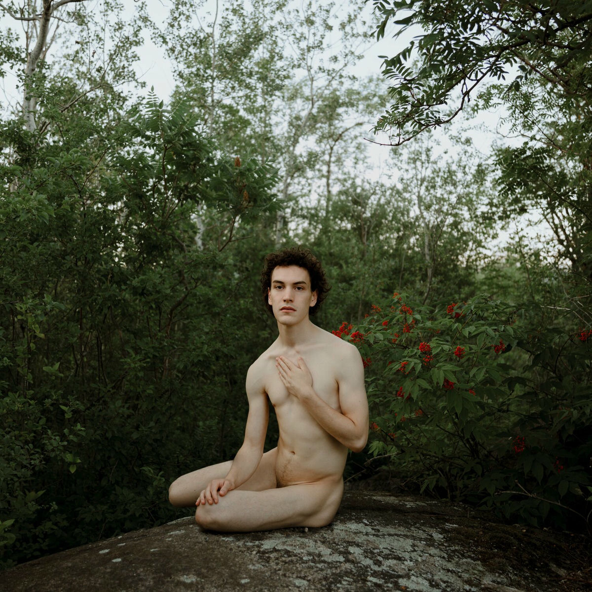 Album cover of New Virginity