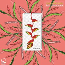 Cover of Musa Paradisiaca