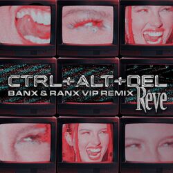 Cover of CTRL + ALT + DEL (Banx & Ranx VIP Remix)