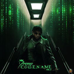 Cover of Codename, Vol. 2