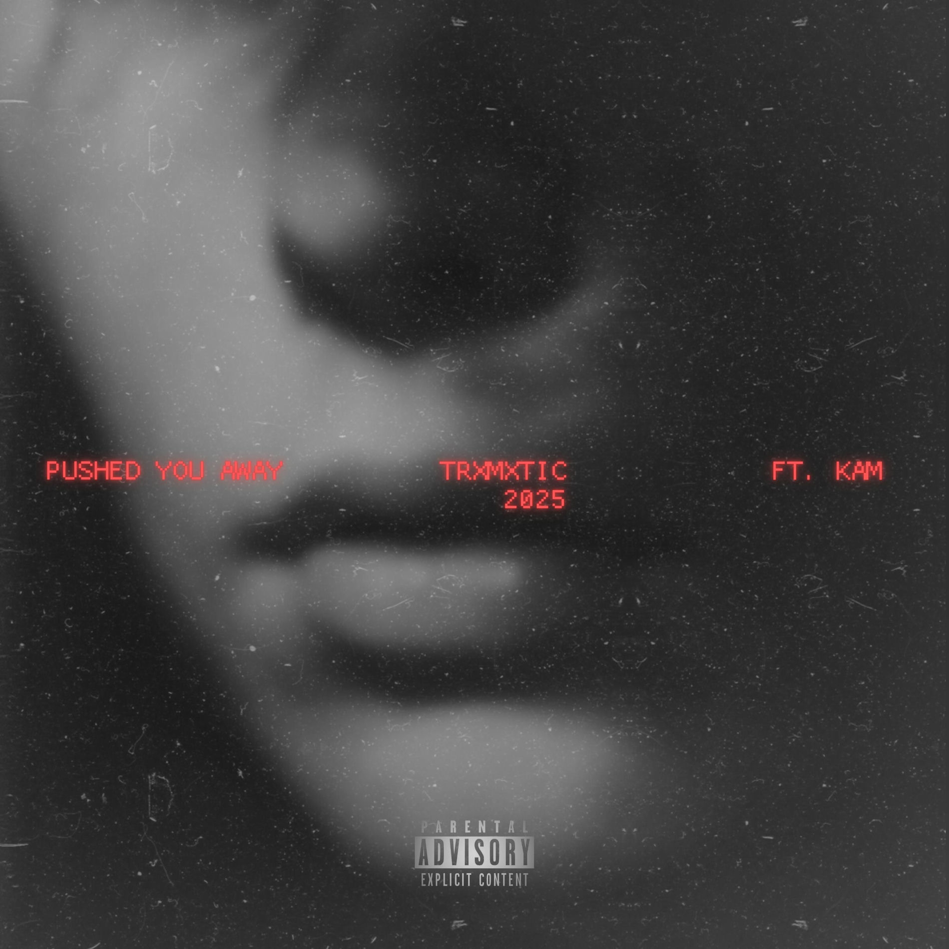 Album cover of Pushed You Away (feat. KAM)