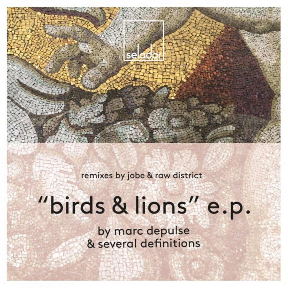Picture of Birds & Lions EP