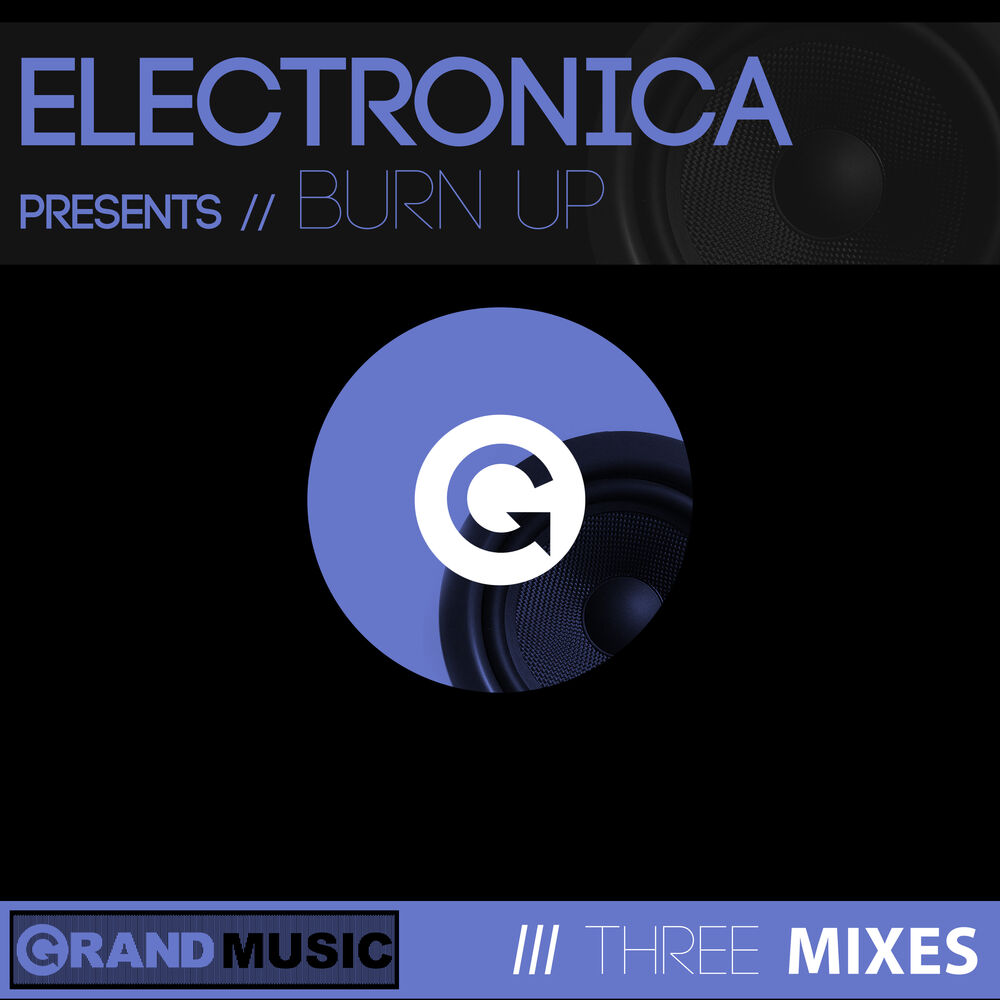 Picture of Burn Up