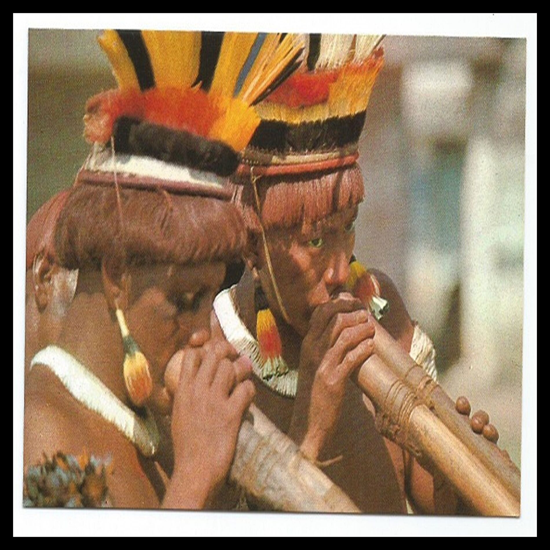 Album cover of Flauta Indígena E Sons Da Natureza Acalmar E Relaxar a Mente