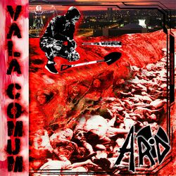 Cover of Vala Comum