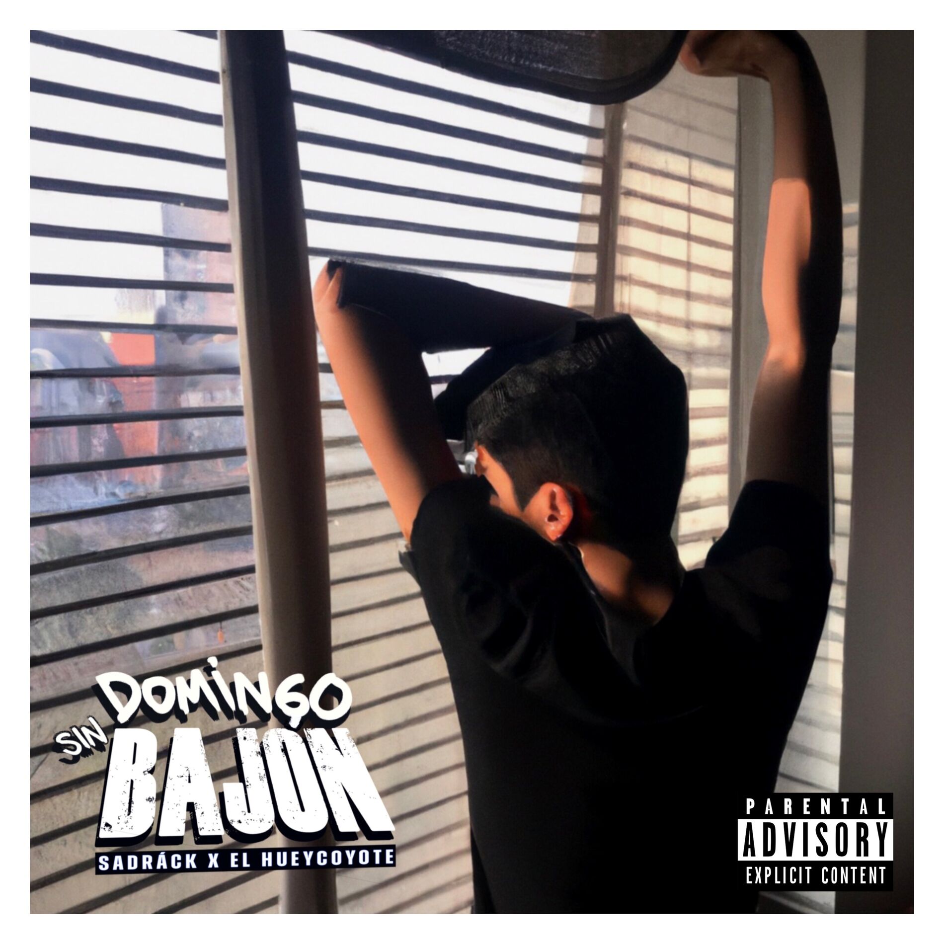 Album cover of Domingo Sin Bajón