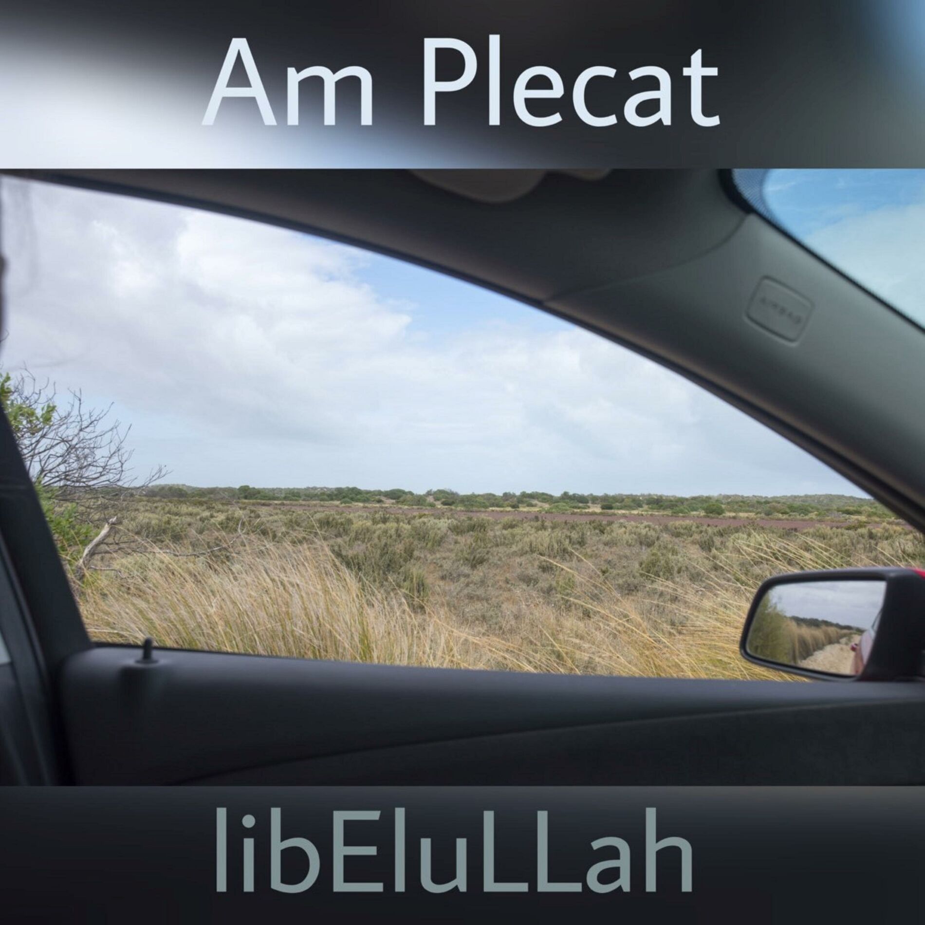 Album cover of Am Plecat