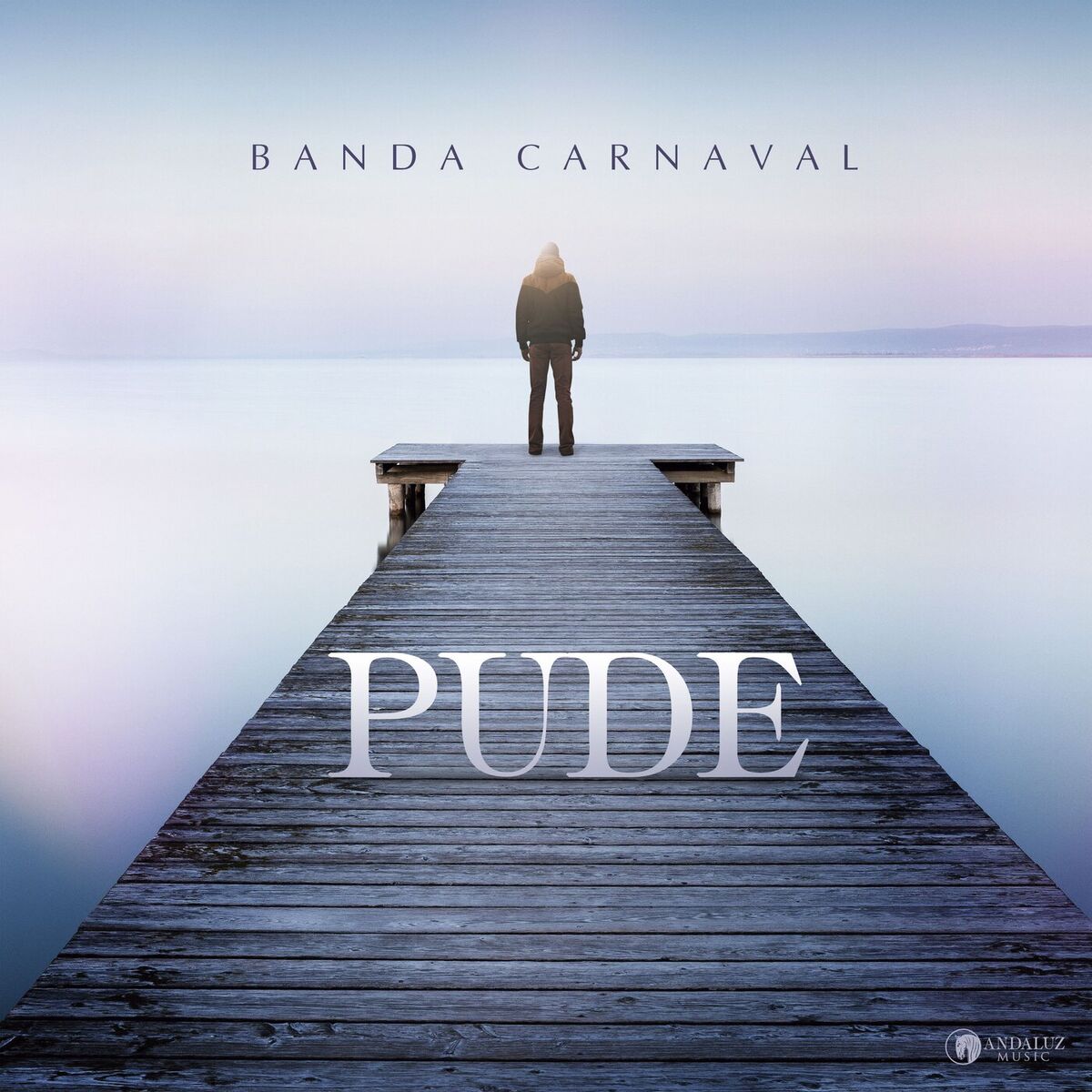 Album cover of Pude