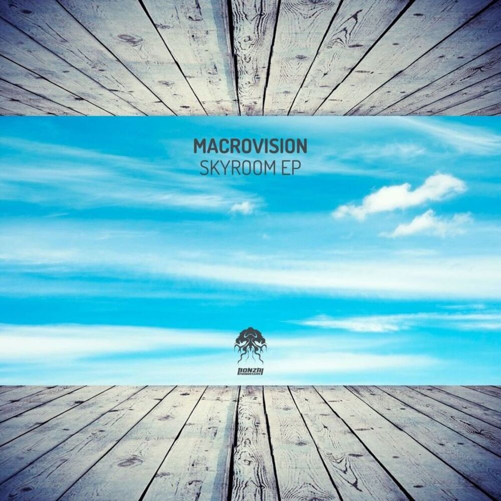 Picture of Skyroom EP