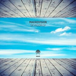 Cover of Skyroom EP