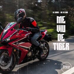 Me Viu De Tiger