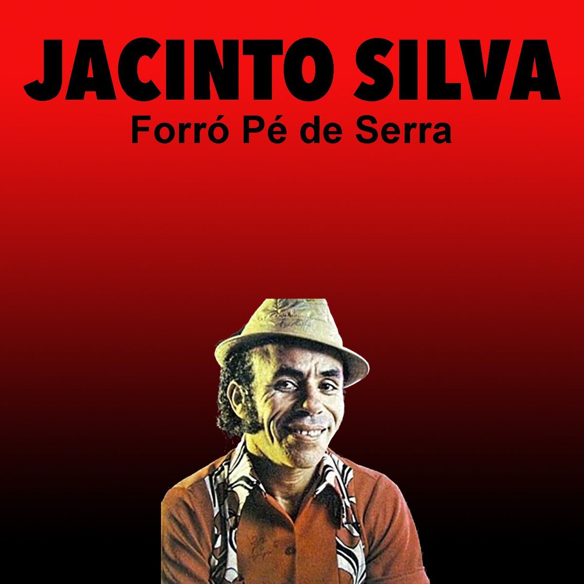 Album cover of Forró Pé de Serra