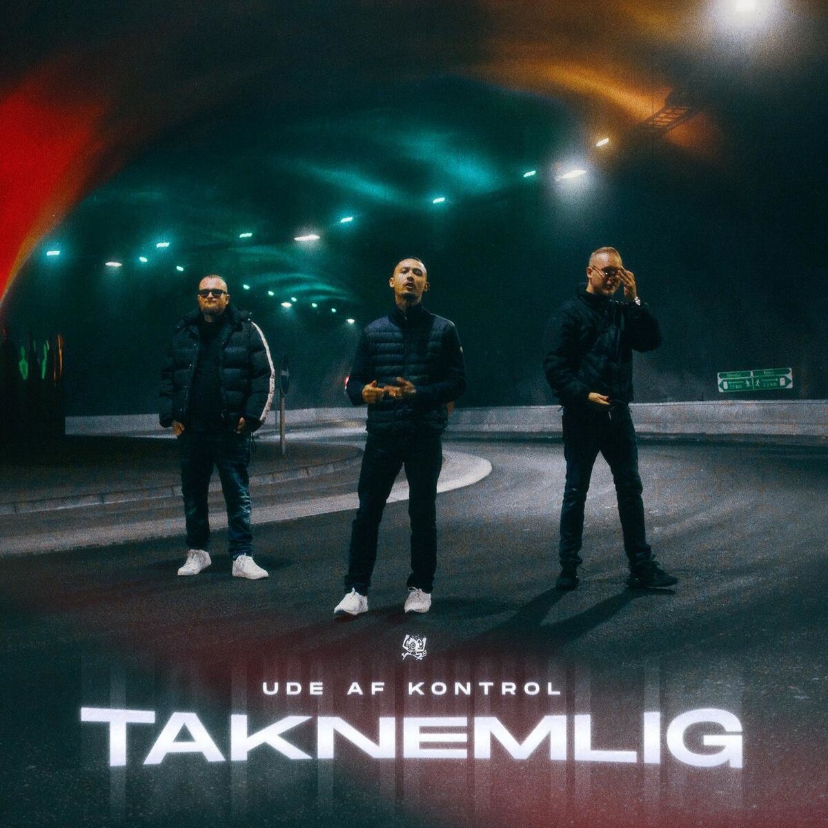 Album cover of Taknemlig