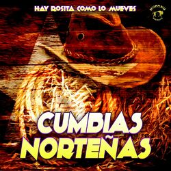 Cover of Hay Rosita Como Lo Mueves
