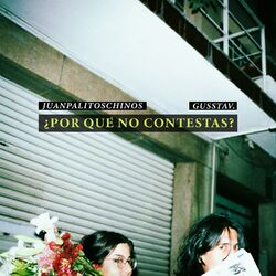Cover of ¿Por Qué No Contestas?