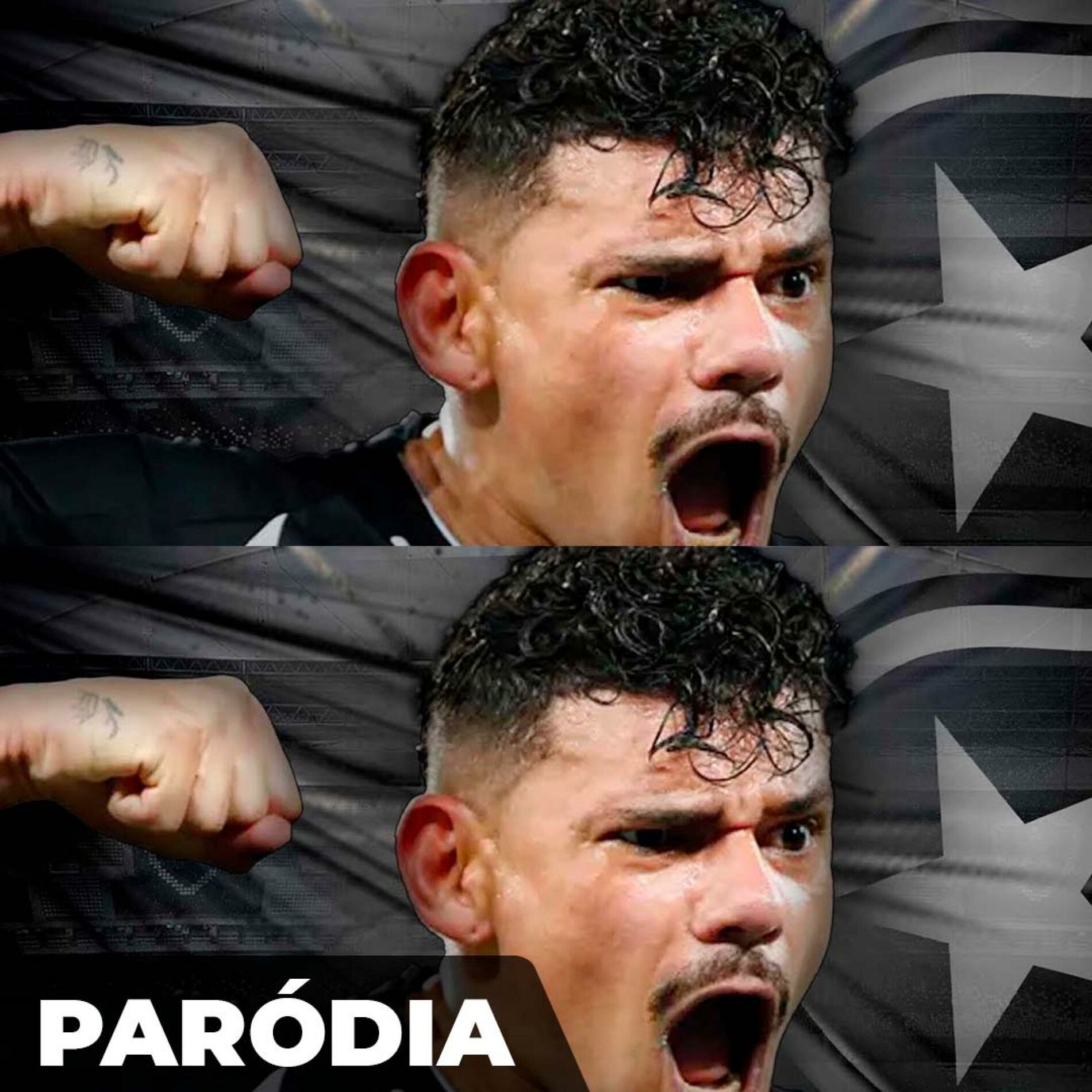 Album cover of Paródia - BOTAFOGO É O LIDER DO BRASILEIRÃO 2023