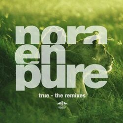 Cover of True - The Remixes