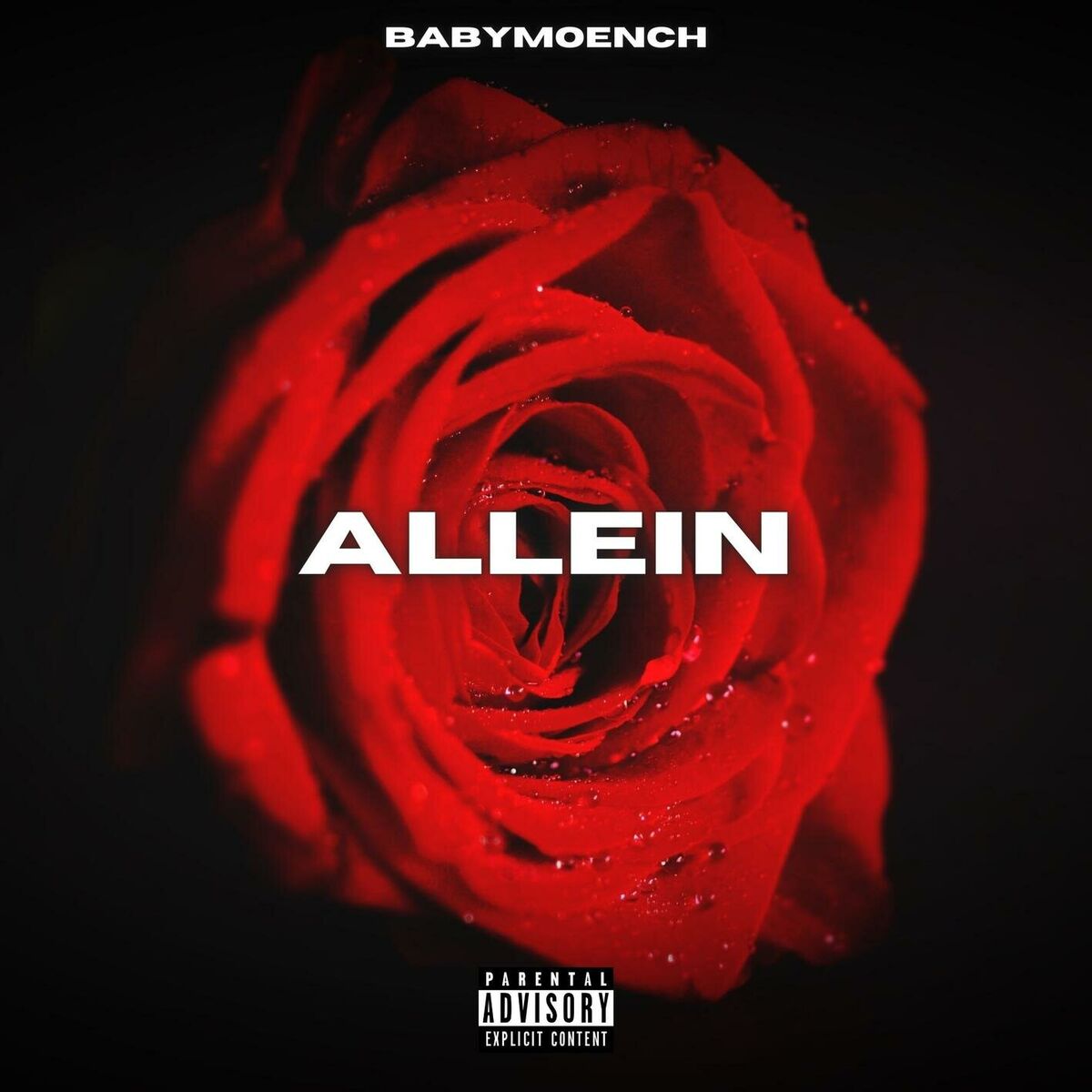 Album cover of Allein