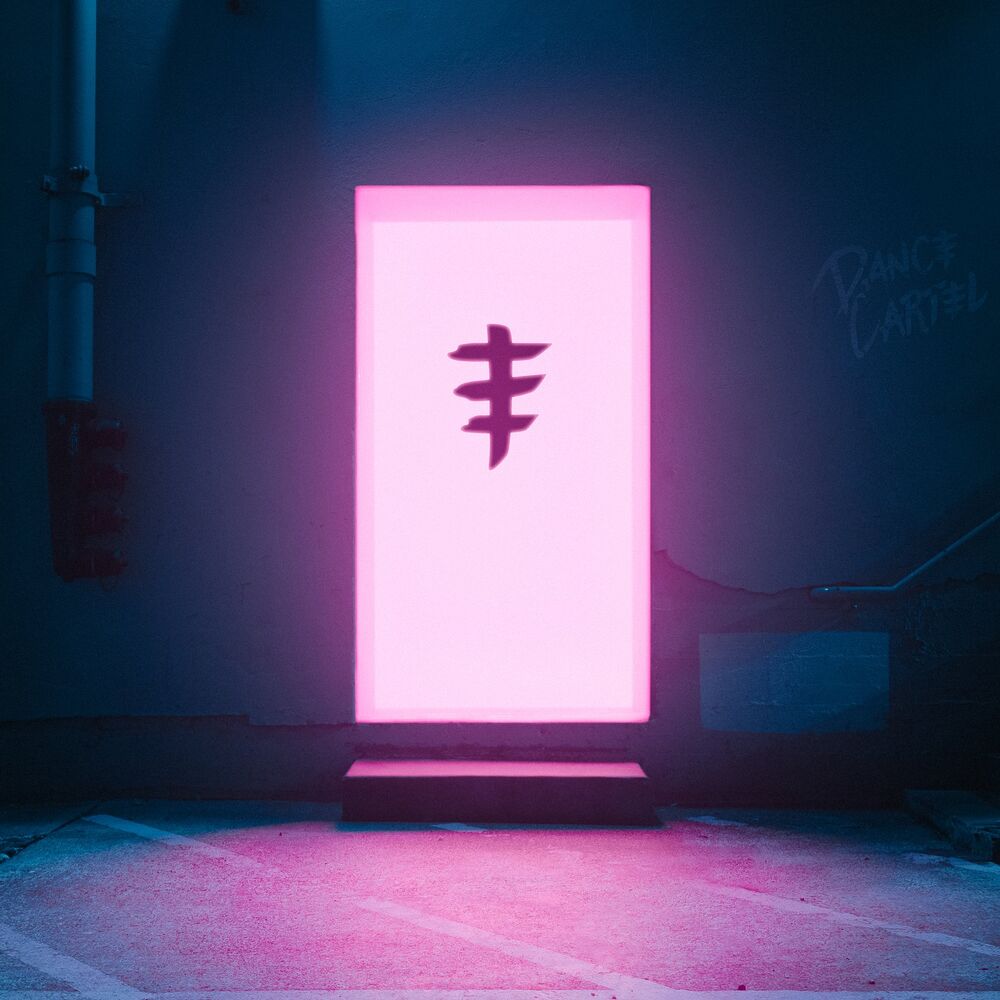 Picture of No Re-Entry