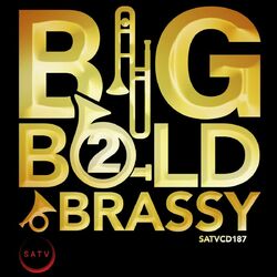 Cover of Big, Bold and Brassy 2