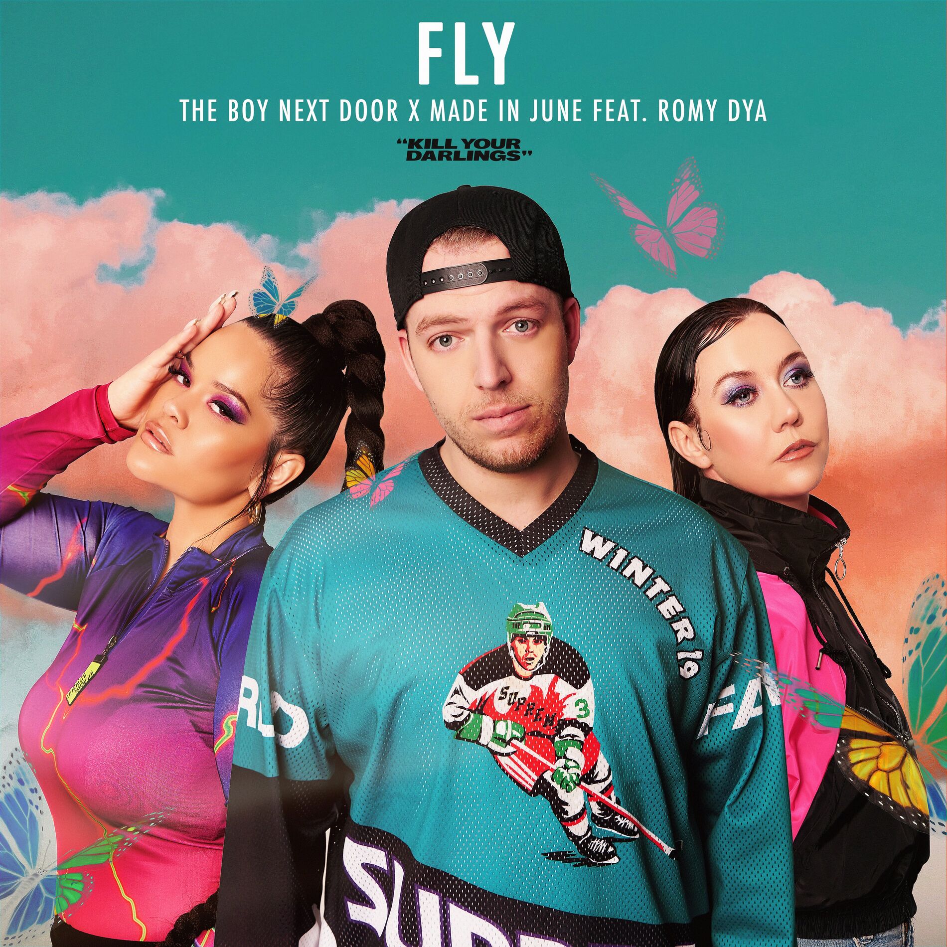 Album cover of Fly