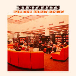Please Slow Down