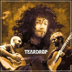 Cover of Teardrop