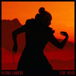 Cover of The Seer