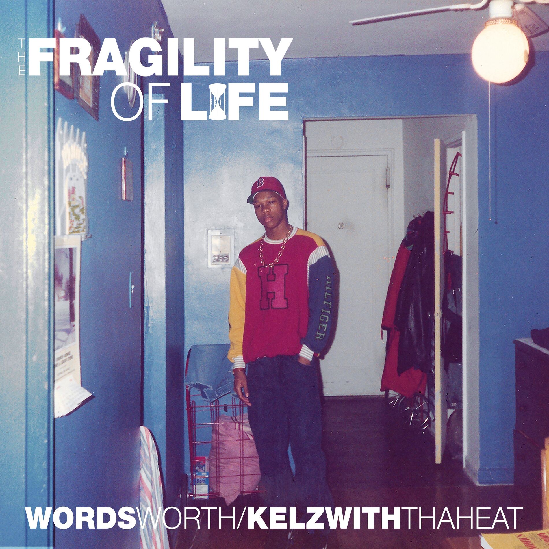 Album cover of The Fragility of Life
