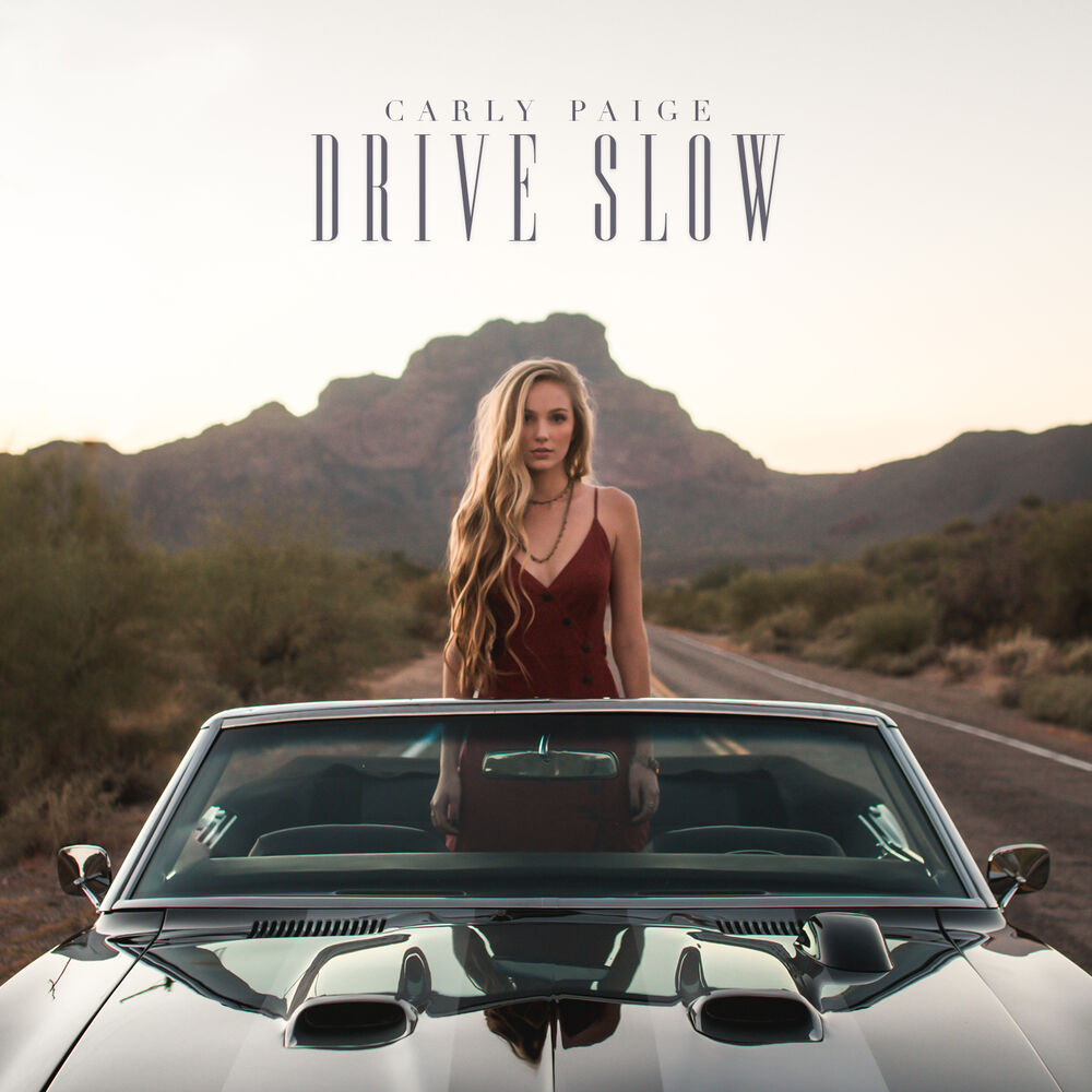 Picture of Drive Slow