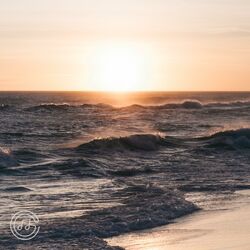 Cover of Watching the waves